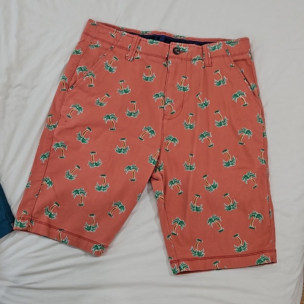 Plugged Flex Palm Trees Shorts size 30